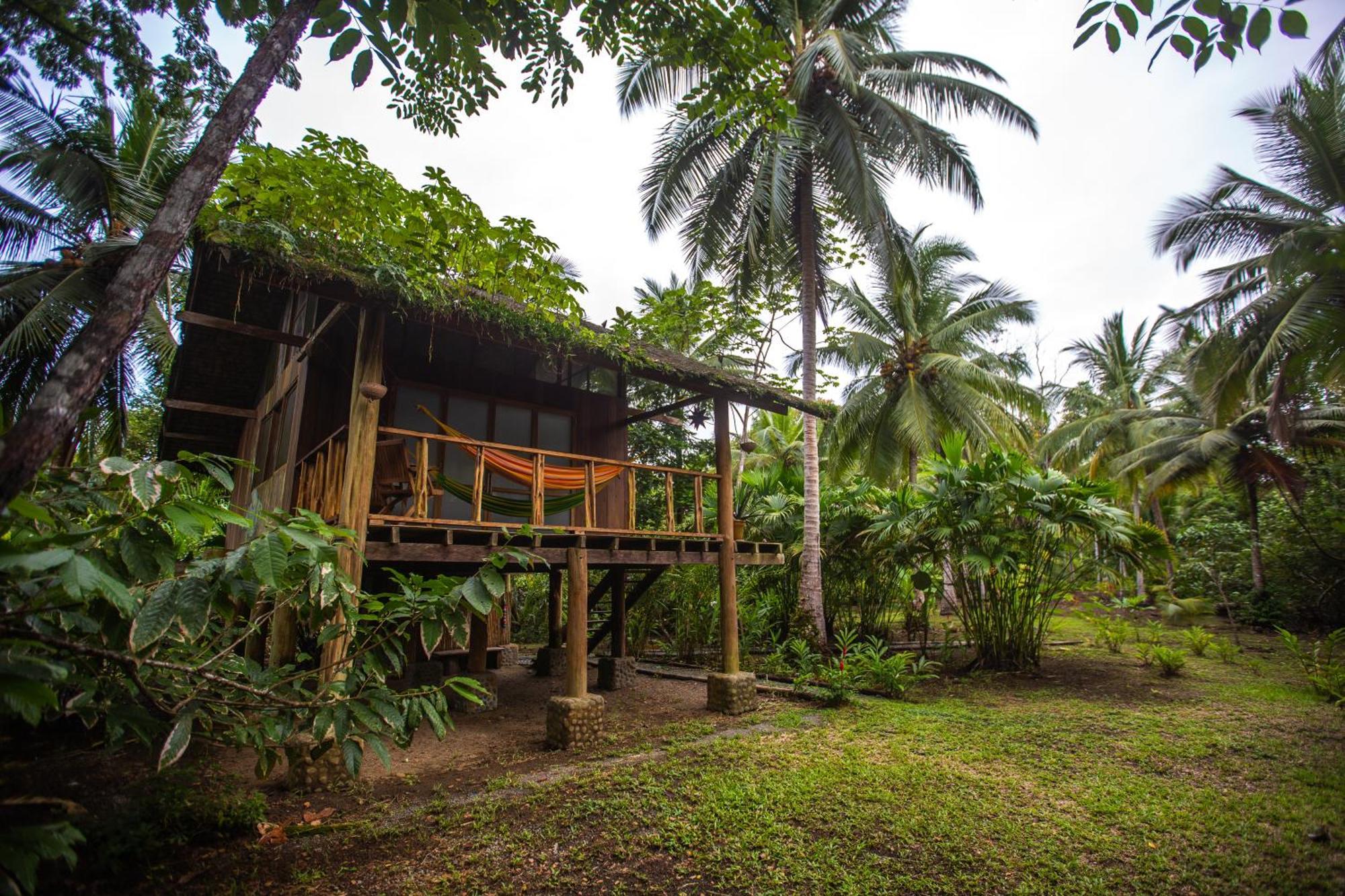 Jardin Botanico Del Pacifico Y Mecana Ecohotel Bahia Solano Exterior photo